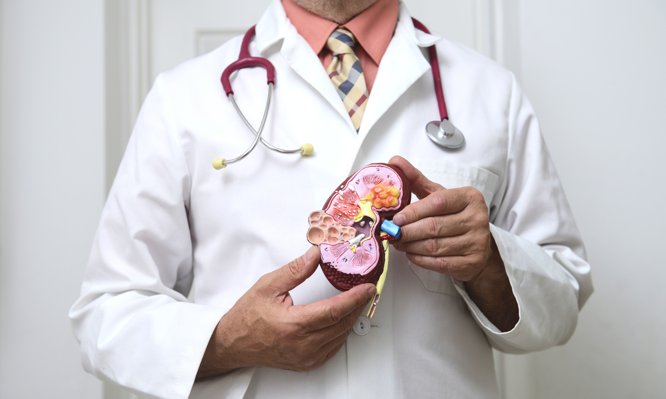 Infezione ai reni come riconoscerla, curarla e prevenirla